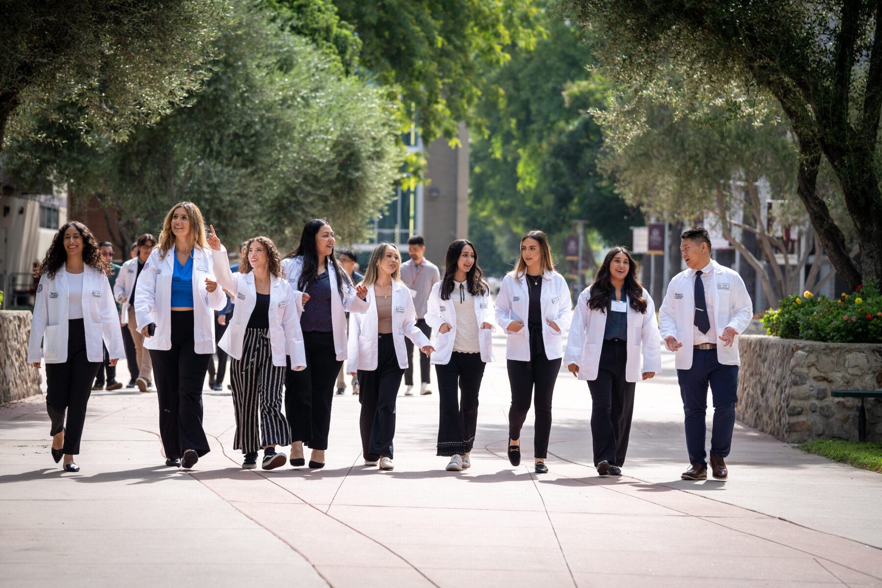 A group of people wearing white coats walks outdoors on a sunny day, with trees and buildings in the background.